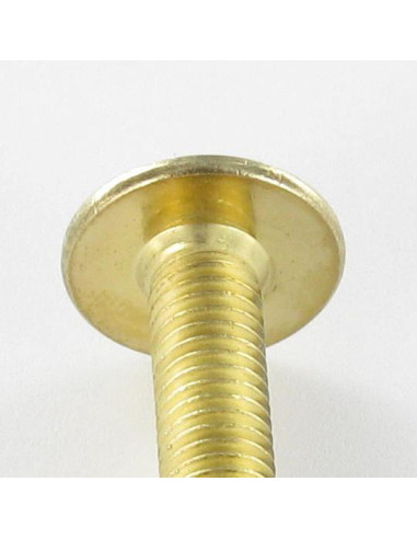 1 x Vis Poelier M6X55 Clé de 4 HC4 Acier laitonne