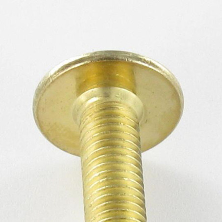 1 x Vis Poelier M6X55 Clé de 4 HC4 Acier laitonne
