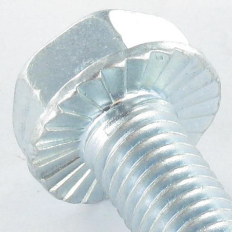 1 x Vis autotaraudeuse Tête hexagonale TH Embase collerette crantée M10X40 Acier zingué