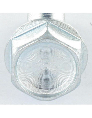 1 x Vis autotaraudeuse Tête hexagonale TH...