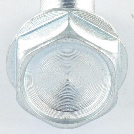 1 x Vis autotaraudeuse Tête hexagonale TH Embase collerette crantée M10X40 Acier zingué