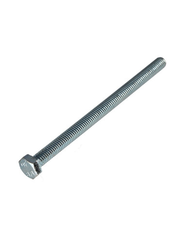 1 x Vis métaux Tête hexagonale TH M6X100 Classe...