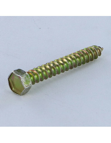 1 x Vis tôle Tête hexagonale TH 3.5X25 Bichromaté