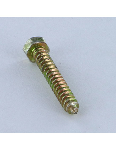 1 x Vis tôle Tête hexagonale TH 3.5X25 Bichromaté