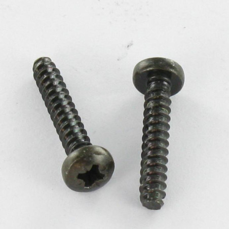 1 x Vis tôle tête cylindrique bombée large Pozi 2.9X9.5 Acier zingué noir Sans pointe