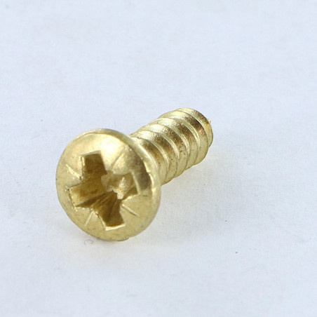 1 x Vis tôle Tête fraisée bombée TFB Pozi 2.9X13 Acier laitonne