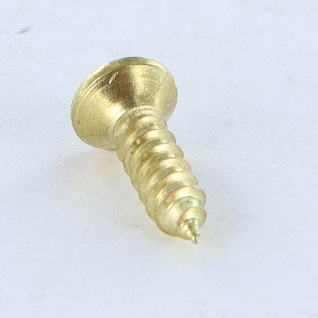 1 x Vis tôle Tête fraisée bombée TFB Pozi 2.9X13 Acier laitonne