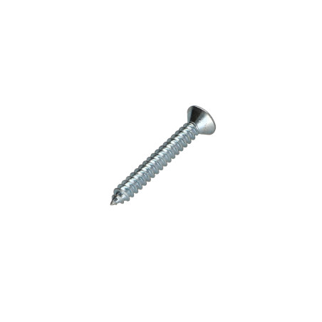 1 x Vis tôle Tête fraisée TORX T20 4.2X38 Acier zingué