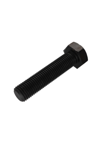 1 x Vis métaux Tête hexagonale TH M27X150...