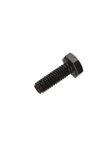 1 x Vis métaux Tête hexagonale TH M4X10 Classe...