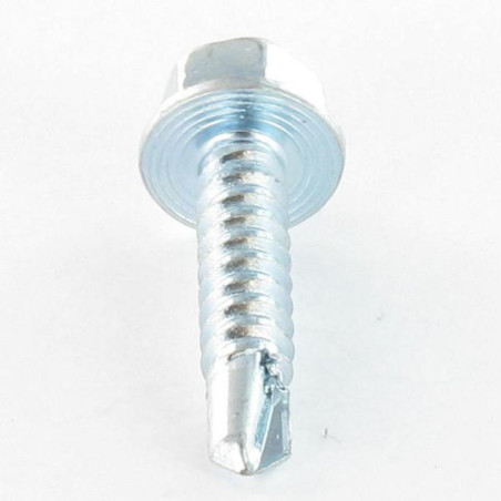 1 x FASTOVIS Tête hexagonale TH 4.8X19 Acier zingué