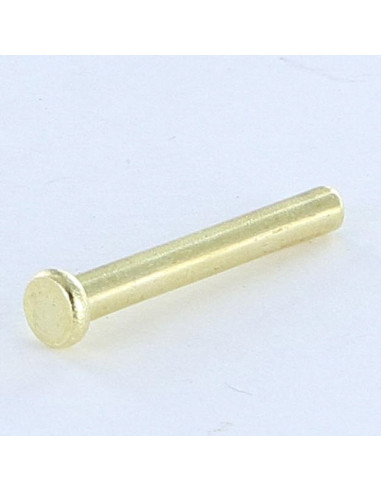 1 x Rivet à frapper Tête plate 2.6X20 Diamètre...