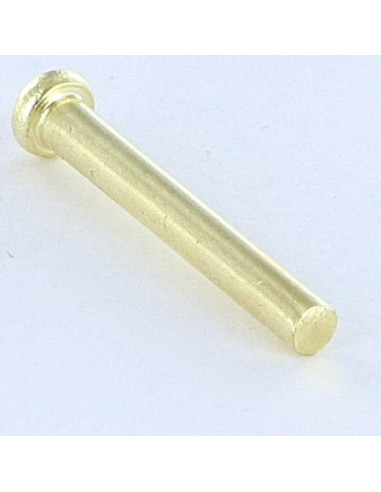 1 x Rivet à frapper Tête plate 2.6X20 Diamètre...