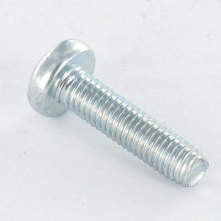 1 x Vis autotaraudeuse tête cylindrique bombée large M5X12 TORX T25 Acier zingué