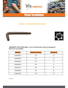 Clé Pour Vis Inviolable TORX T10 Acier zingué 2
