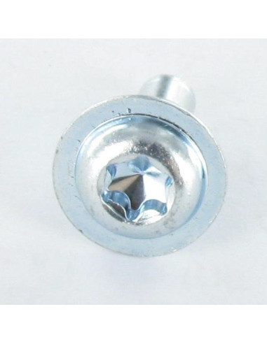 1 x Vis métaux Tête ronde large TORX T30 M6X16...