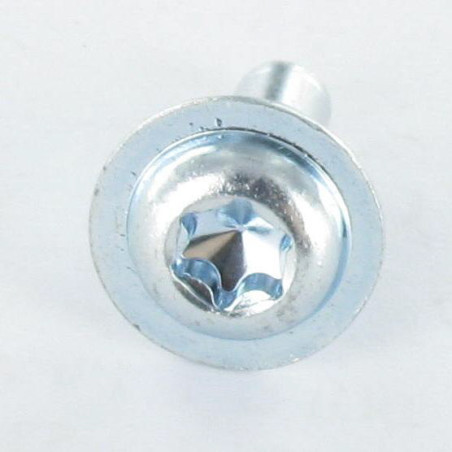 1 x Vis métaux Tête ronde large TORX T30 M6X16 Bout pilote Acier zingué