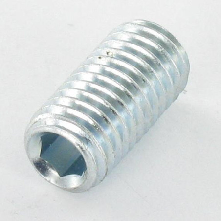 1 x Vis métaux Sans tête six pans creux (sthc) Clé de 6 HC6 M12X30 Bout plat Acier zingué