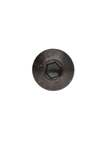 1 x Vis métaux BHC (Tête Bombée Hexagonal...