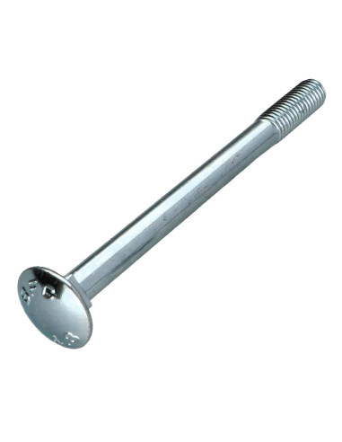 1 x TRCC JAPY tête ronde collet carré M10X120...