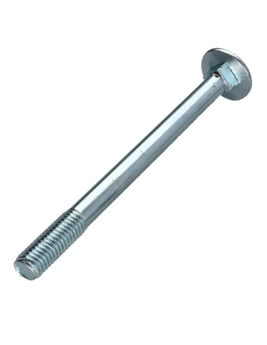 1 x TRCC JAPY tête ronde collet carré M10X120...