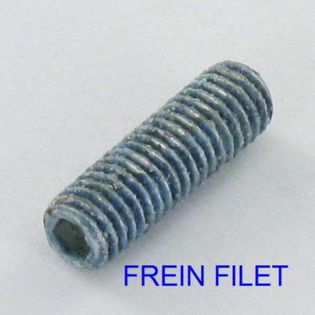 1 x Vis métaux Sans tête six pans creux (sthc) M5X25 Bout téton Plate Acier zingué PRECOTE80