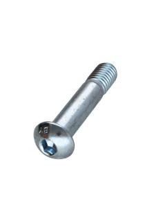 Vis métaux BHC (Tête Bombée Hexagonal creux) M10X50...