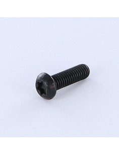 Vis métaux Tête bombée TORX T40 8X20 8.8ZNN480HBSSRR