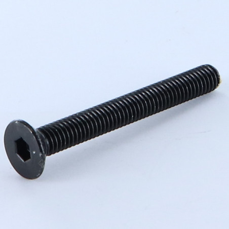 1 x Vis métaux FHC tête fraisée empreinte hexagonale creuse M6X55 Clé de 4 HC4 Acier zingué noir