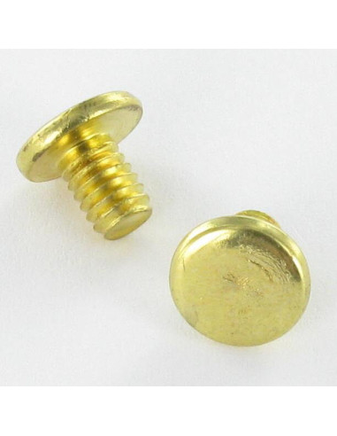 1 x OBTURATEUR Acier laitonne Tête plate 4.3X6...