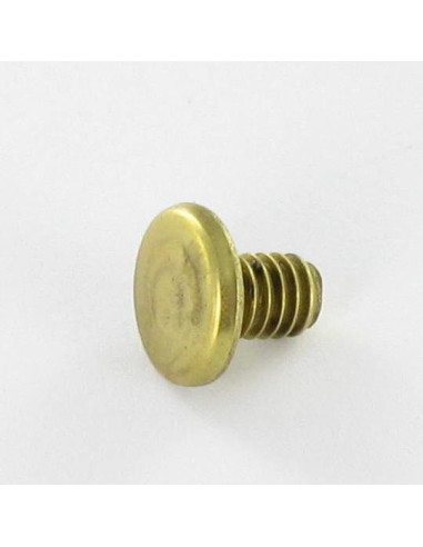 1 x OBTURATEUR Laiton Tête plate 4.3X6 TORX T9...