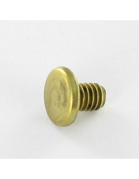 1 x OBTURATEUR Laiton Tête plate 4.3X6 TORX T9 EP1.5