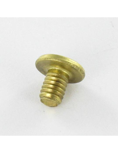1 x OBTURATEUR Laiton Tête plate 4.3X6 TORX T9 EP1.5