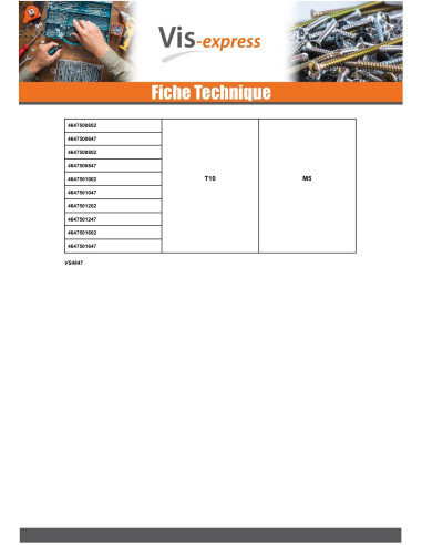 1 x Vis métaux Sans tête TORX T10 Bout cuvette...