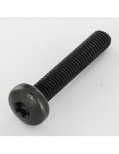 Vis métaux Tête bombée TORX T40 M8X45 10.9ZNN480HBSSRR