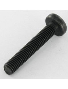 Vis métaux Tête bombée TORX T40 M8X45 Classe 10.9 Acier... 2