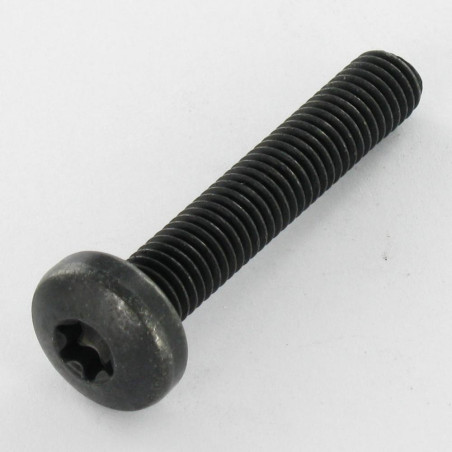 1 x Vis métaux Tête bombée TORX T40 M8X35 Classe 10.9 zingué nickel noir 480 hbs sans rouille rouge - Noir renforcE