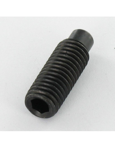 1 x Vis métaux Sans tête six pans creux (sthc)...
