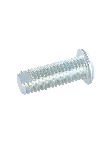 1 x Vis métaux Acier zingué Tête cylindrique TC...