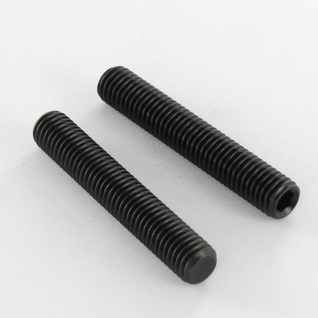 1 x Vis métaux Sans tête six pans creux (sthc) Clé de 5 HC5 M10X55 Bout plat Acier brut