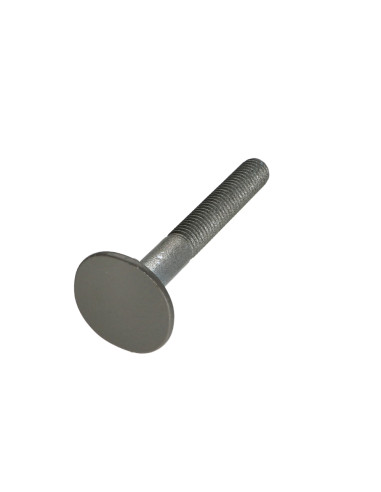 1 x Vis Tête fraisée LARG 4ERGOT10X80 RAL7023...