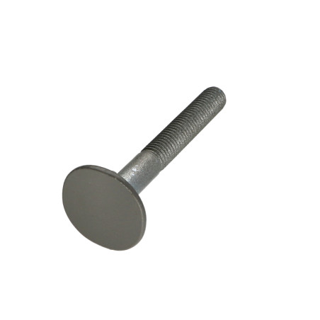1 x Vis Tête fraisée LARG 4ERGOT10X80 RAL7023 30%BRILL