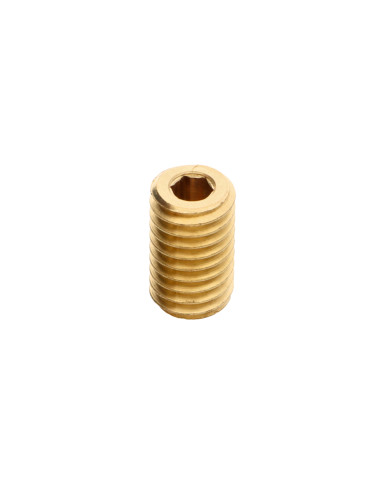 1 x Insert Laiton Hexagonal creux M12 Pas de...