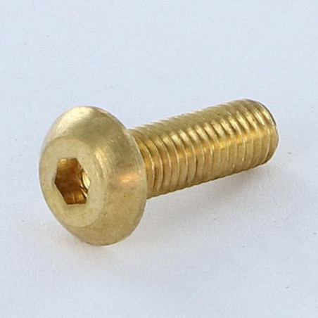 1 x Vis métaux BHC (Tête Bombée Hexagonal creux) M5X16 Clé de 3 HC3 Laiton