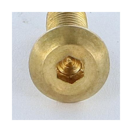 1 x Vis métaux BHC (Tête Bombée Hexagonal creux) M5X16 Clé de 3 HC3 Laiton