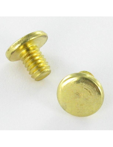 1 x OBTURATEUR Acier laitonne Tête plate 4.3X6...