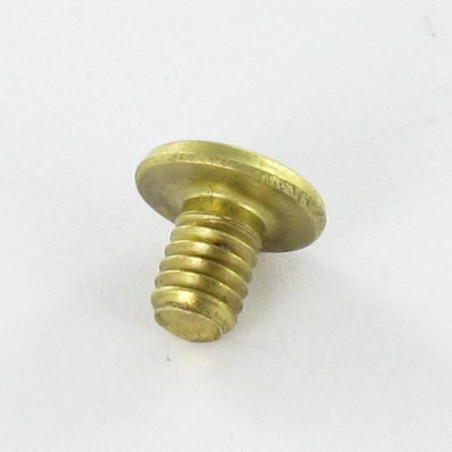1 x OBTURATEUR Laiton Tête plate 4.3X6 TORX T9 EP1.5