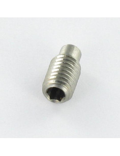 Vis métaux Inox A2 Sans tête six pans creux (sthc) M8X10... 2