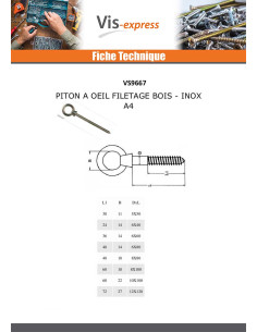 Piton Bois Oeil 10X100 Oeil 22 Inox A4 2