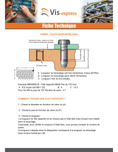 Filet rapporté M10X20 Pas fin Pas de 100 Inox 2